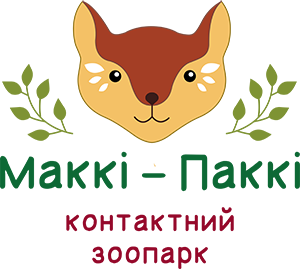 Маккі-Паккі